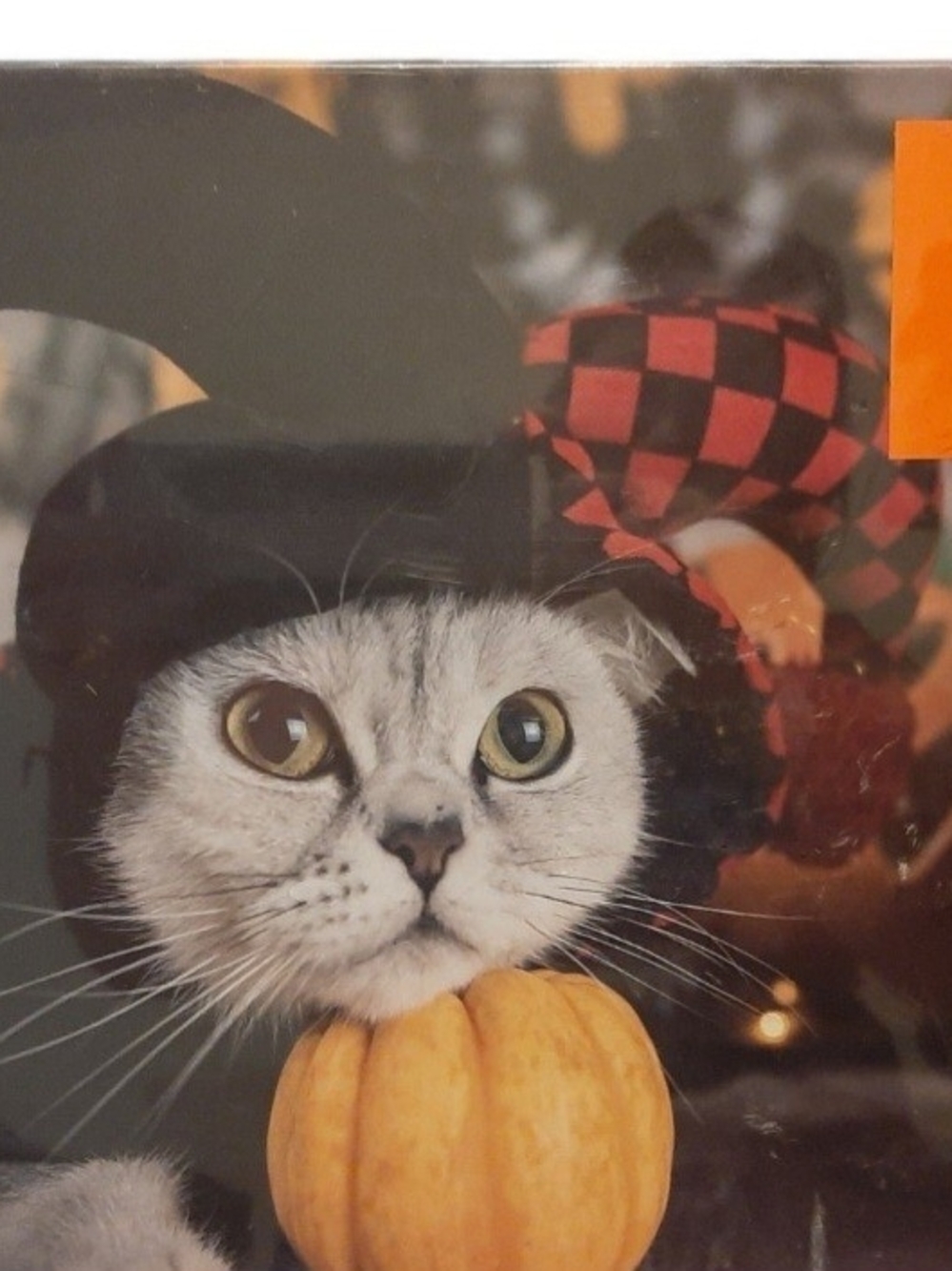 Pink Sky Halloween Scaredy Cat Jigsaw Puzzle 1000 Piece NEW Sealed 19x26